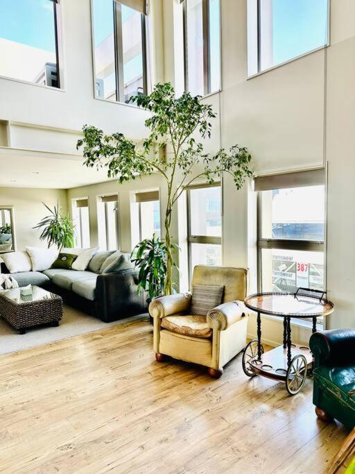 Stunning New York Loft Gallery ไครสต์เชิร์ช ภายนอก รูปภาพ